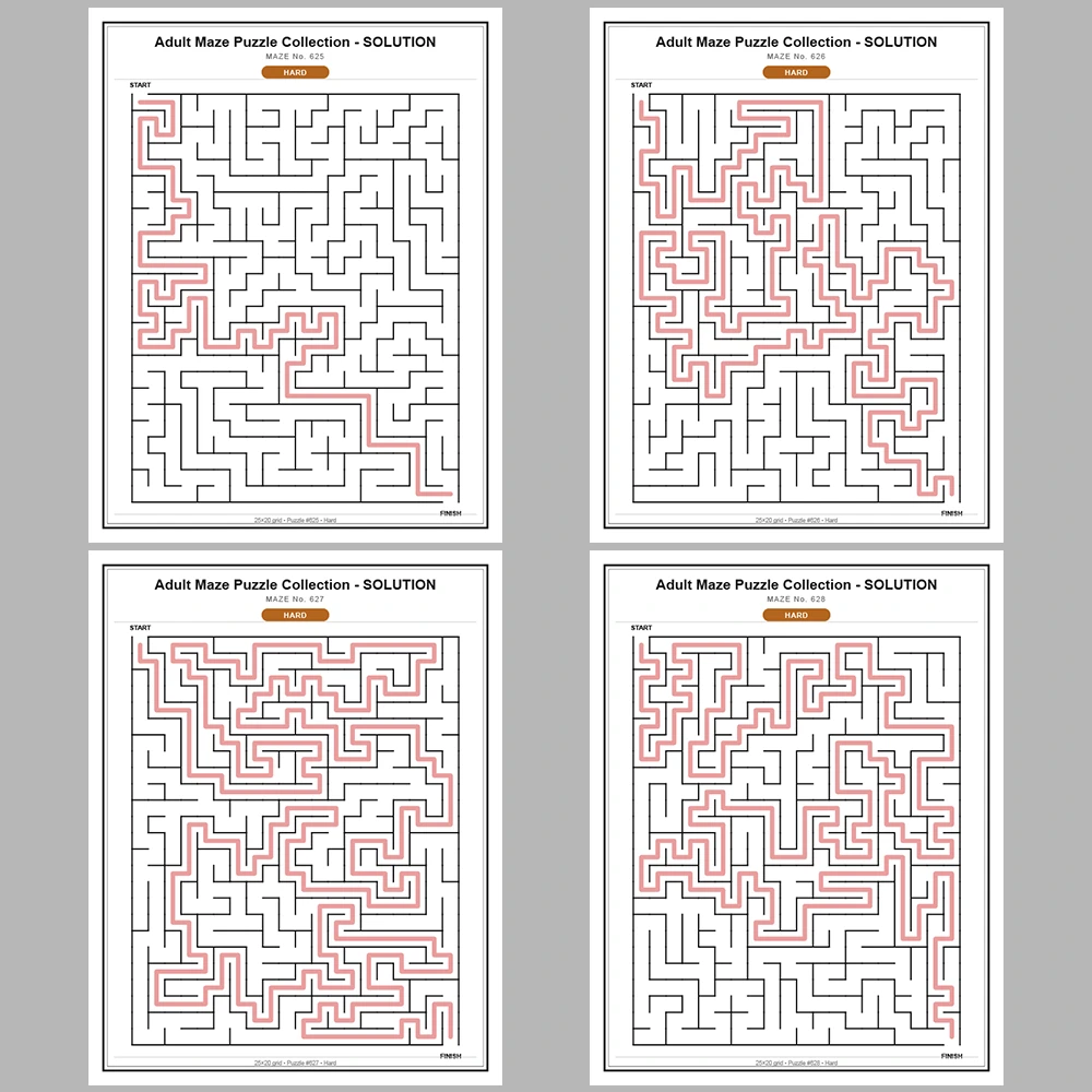 Maze Puzzle Hard 50 Pages of Puzzles – Vol. 13