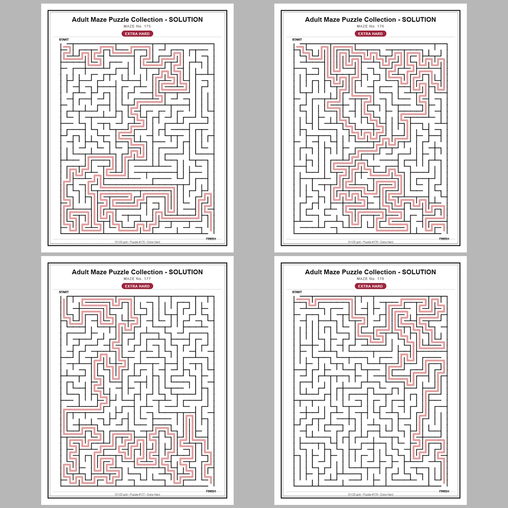 Maze Puzzle Extra Hard 50 Pages of Puzzles – Vol. 4