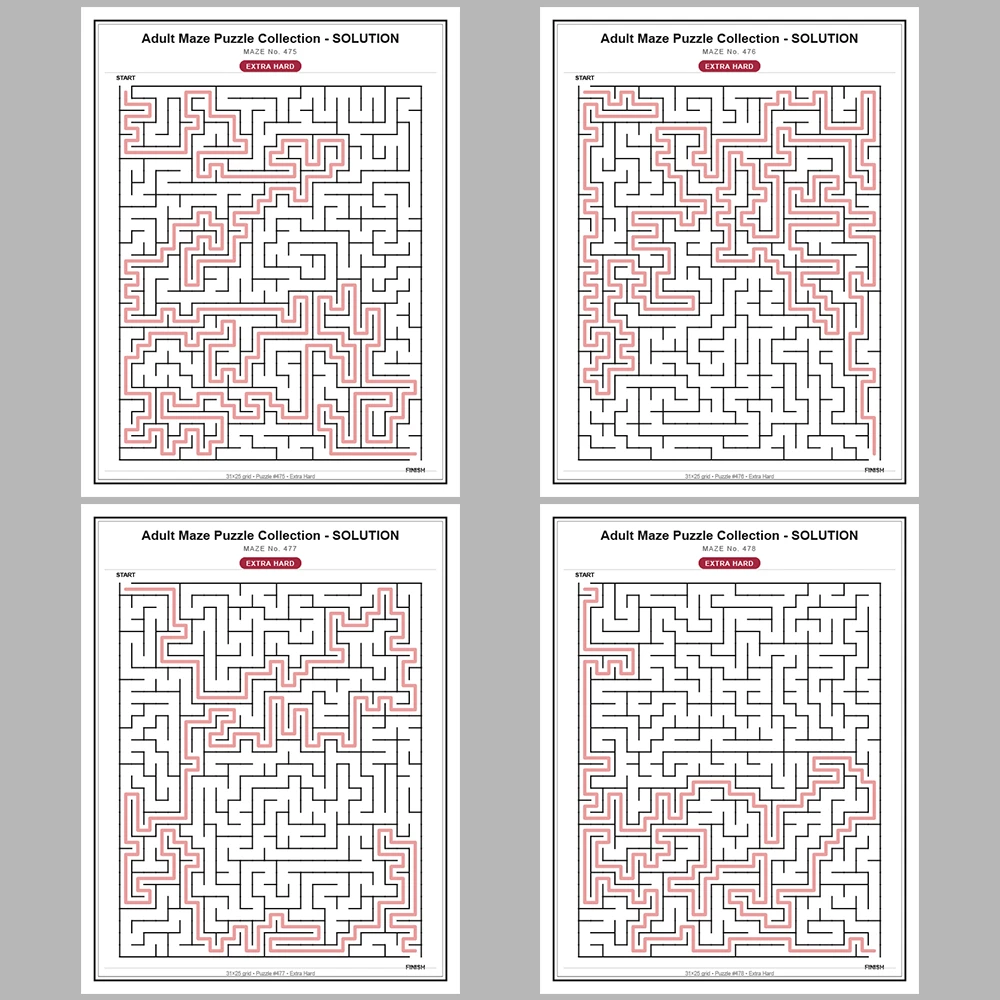Maze Puzzle Extra Hard 50 Pages of Puzzles – Vol. 10