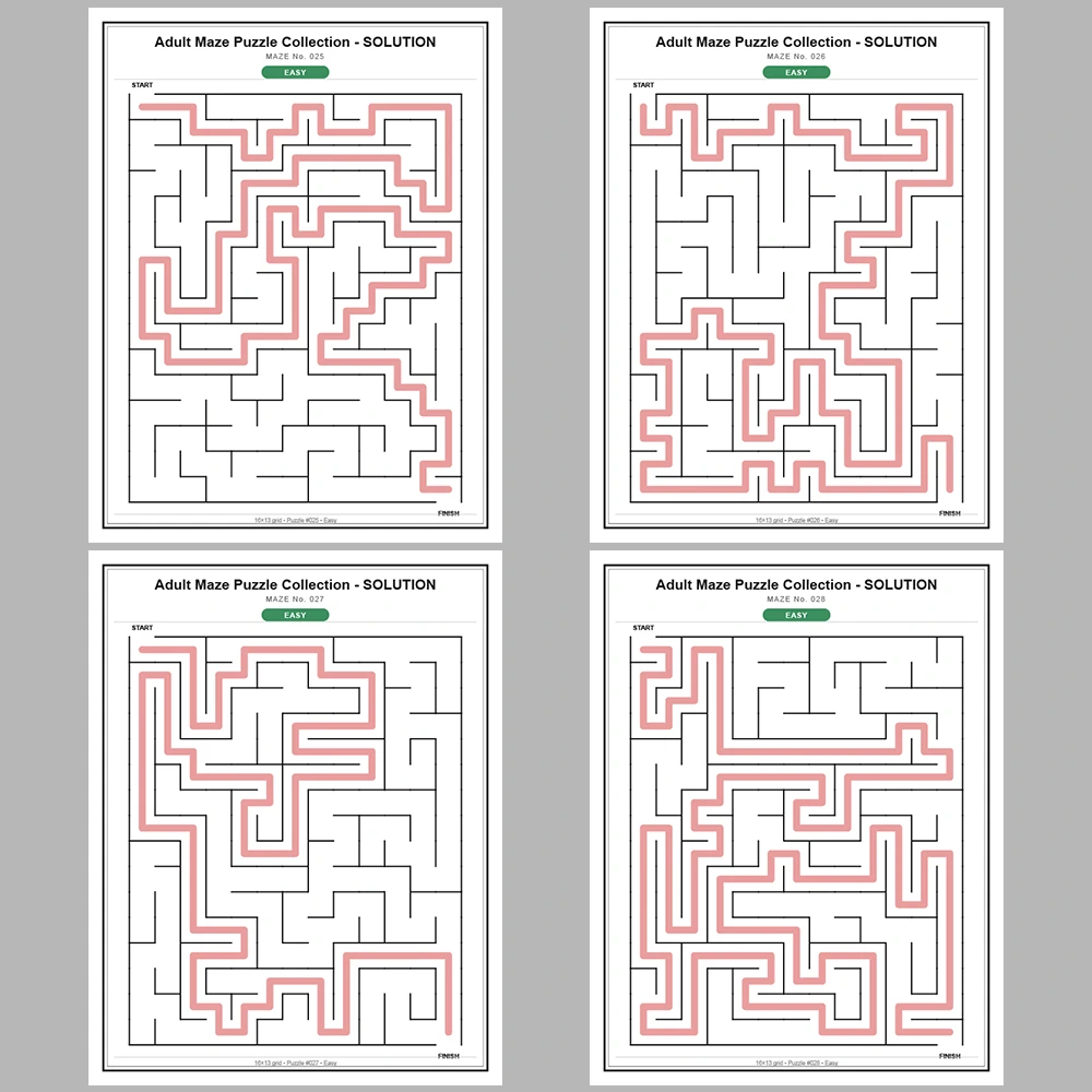 Maze Puzzle Easy 50 Pages of Puzzles – Vol. 3