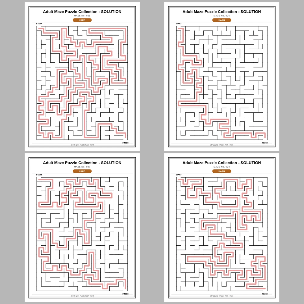 Maze Puzzle Hard 50 Pages of Puzzles – Vol. 19