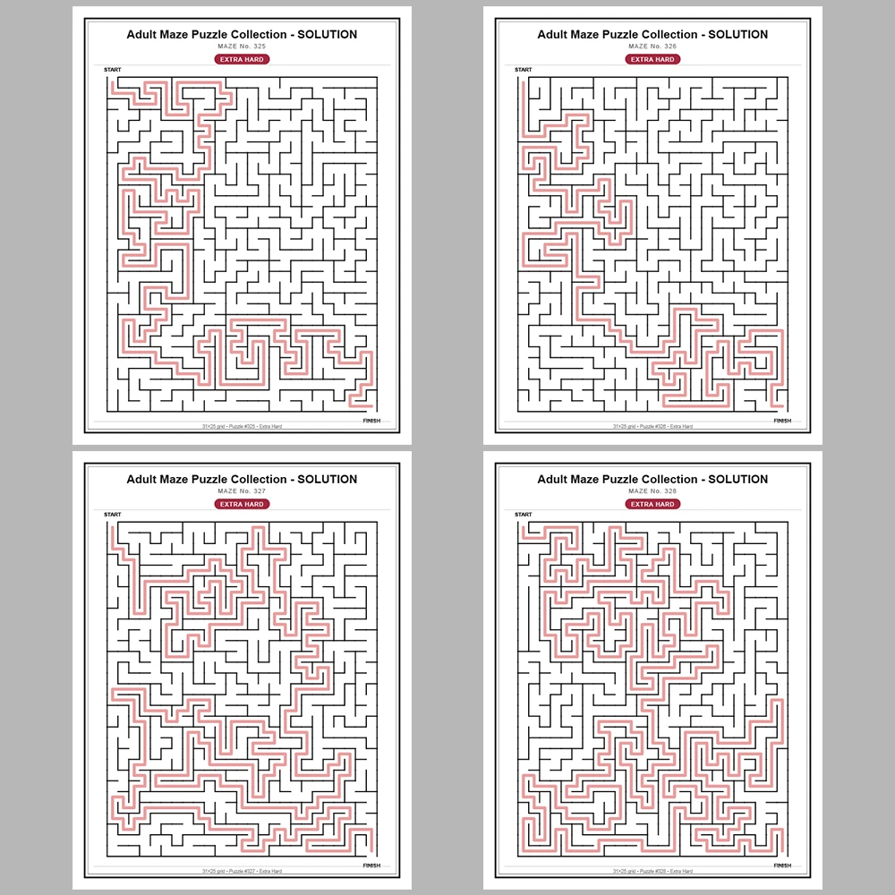 Maze Puzzle Extra Hard 50 Pages of Puzzles – Vol. 7