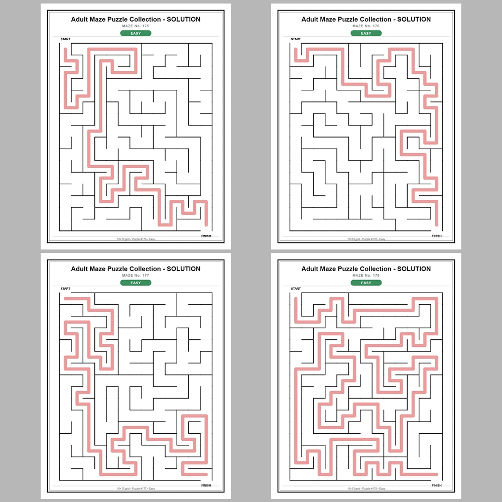 Maze Puzzle Easy 50 Pages of Puzzles – Vol. 4