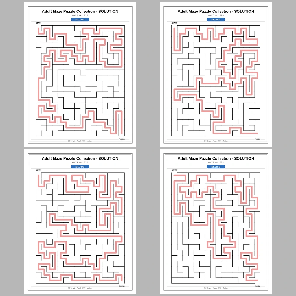 Maze Puzzle Medium 50 Pages of Puzzles – Vol. 6