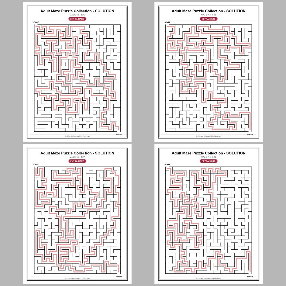 Maze Puzzle Extra Hard 50 Pages of Puzzles – Vol. 11