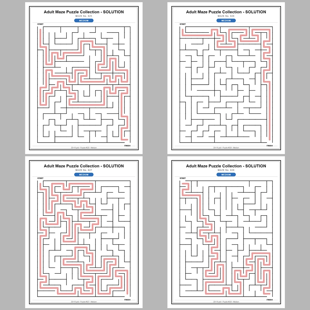 Maze Puzzle Medium 50 Pages of Puzzles – Vol. 17