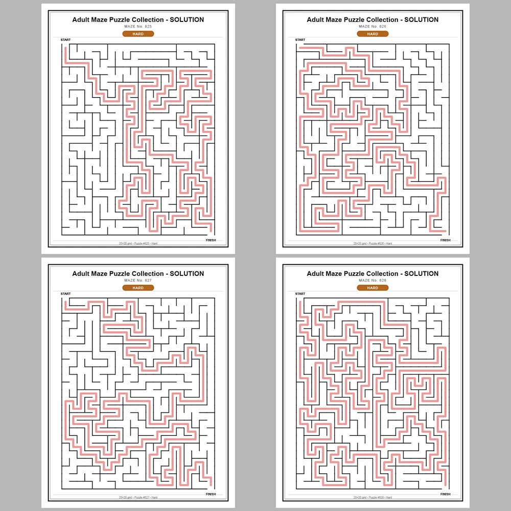 Maze Puzzle Hard 50 Pages of Puzzles – Vol. 17