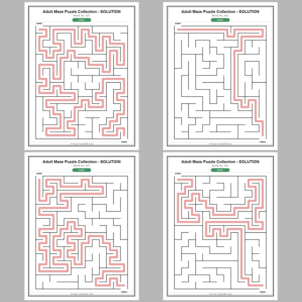 Maze Puzzle Easy 50 Pages of Puzzles – Vol. 17