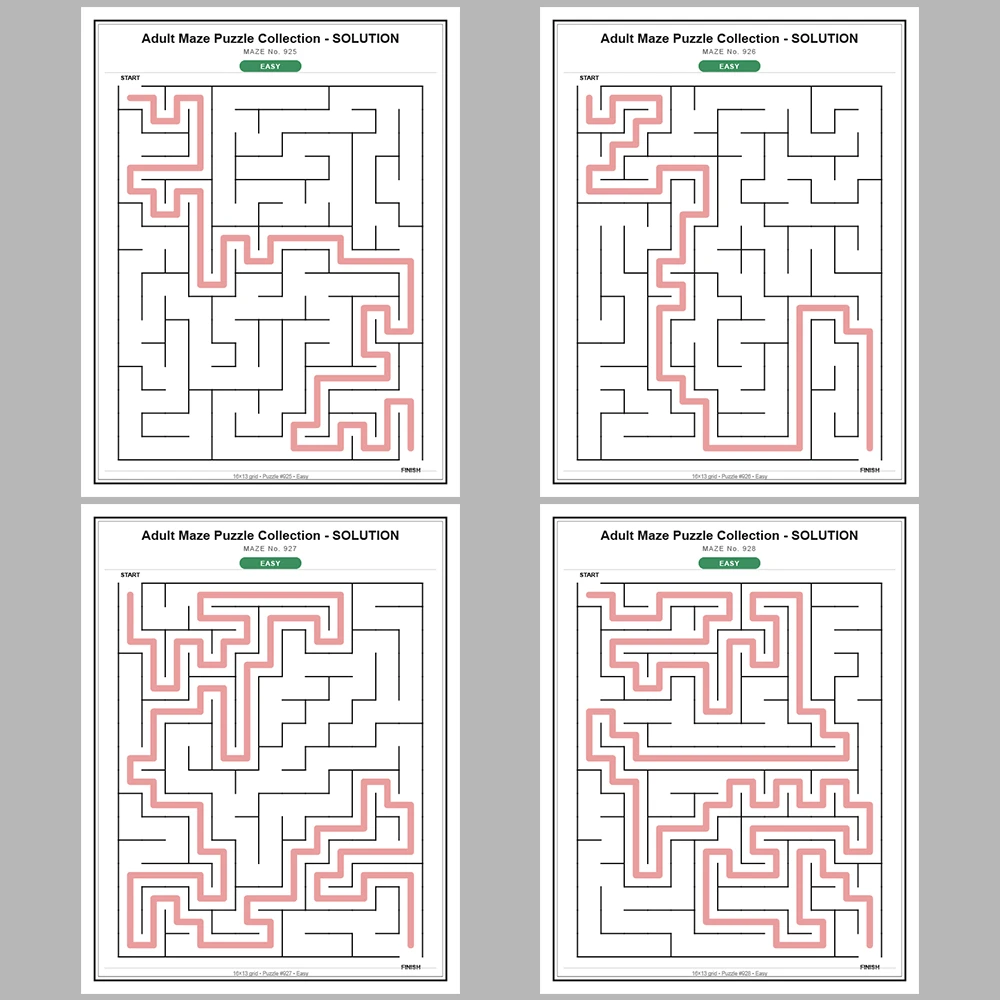Maze Puzzle Easy 50 Pages of Puzzles – Vol. 19