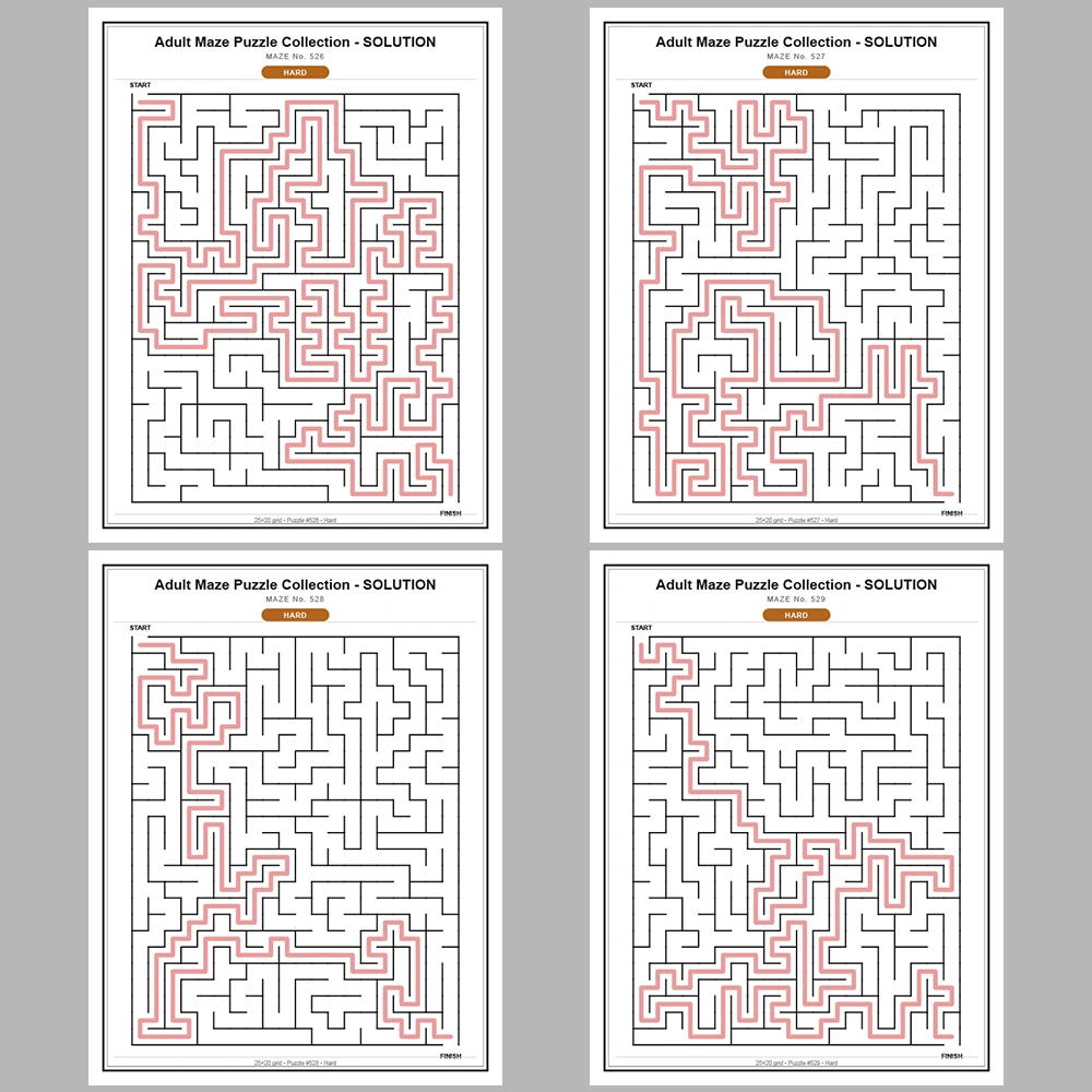 Maze Puzzle Hard 250 Pages of Puzzles – Vol. 3