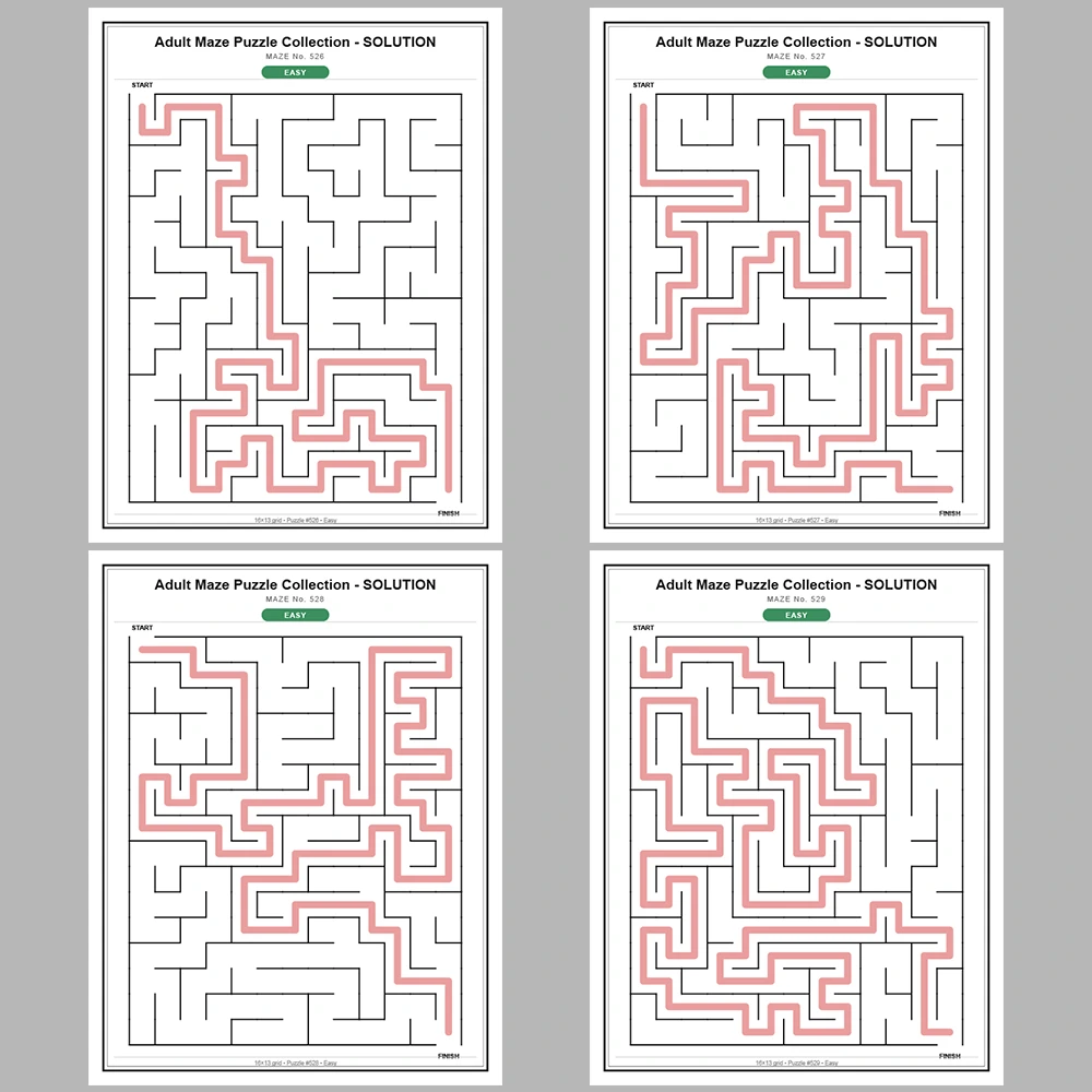 Maze Puzzle Easy 250 Pages of Puzzles – Vol. 3