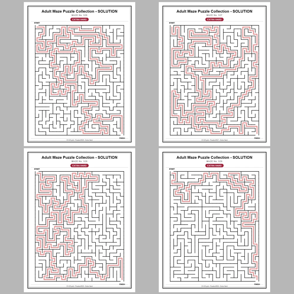 Maze Puzzle Extra Hard 250 Pages of Puzzles – Vol. 3