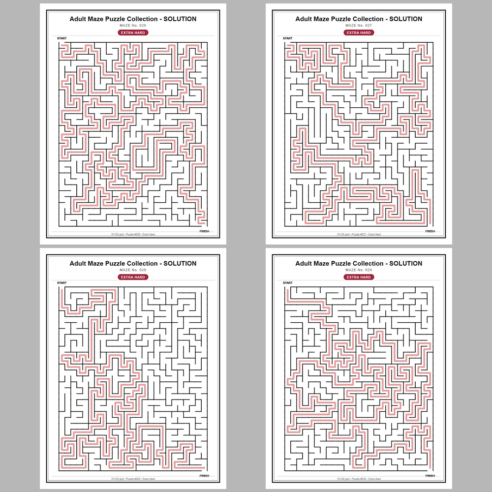Maze Puzzle Extra Hard 250 Pages of Puzzles – Vol. 1