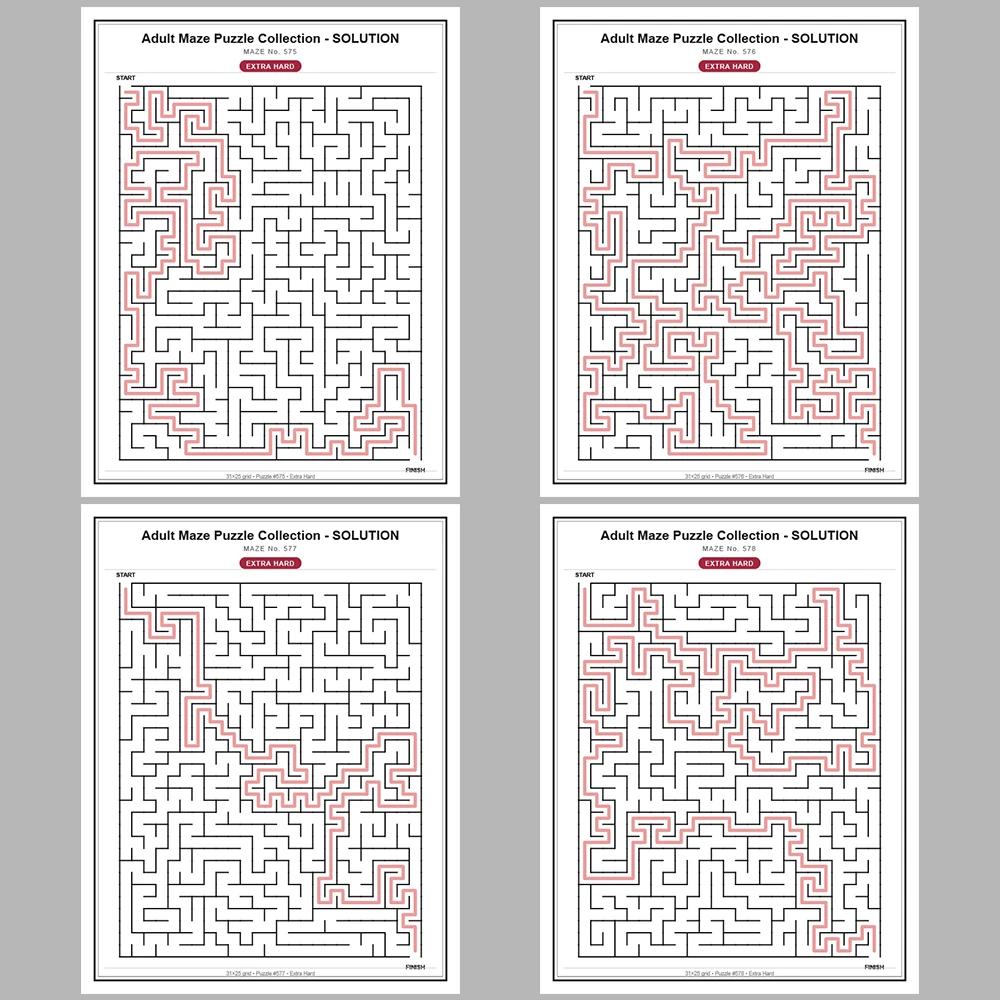 Maze Puzzle Extra Hard 50 Pages of Puzzles – Vol. 12