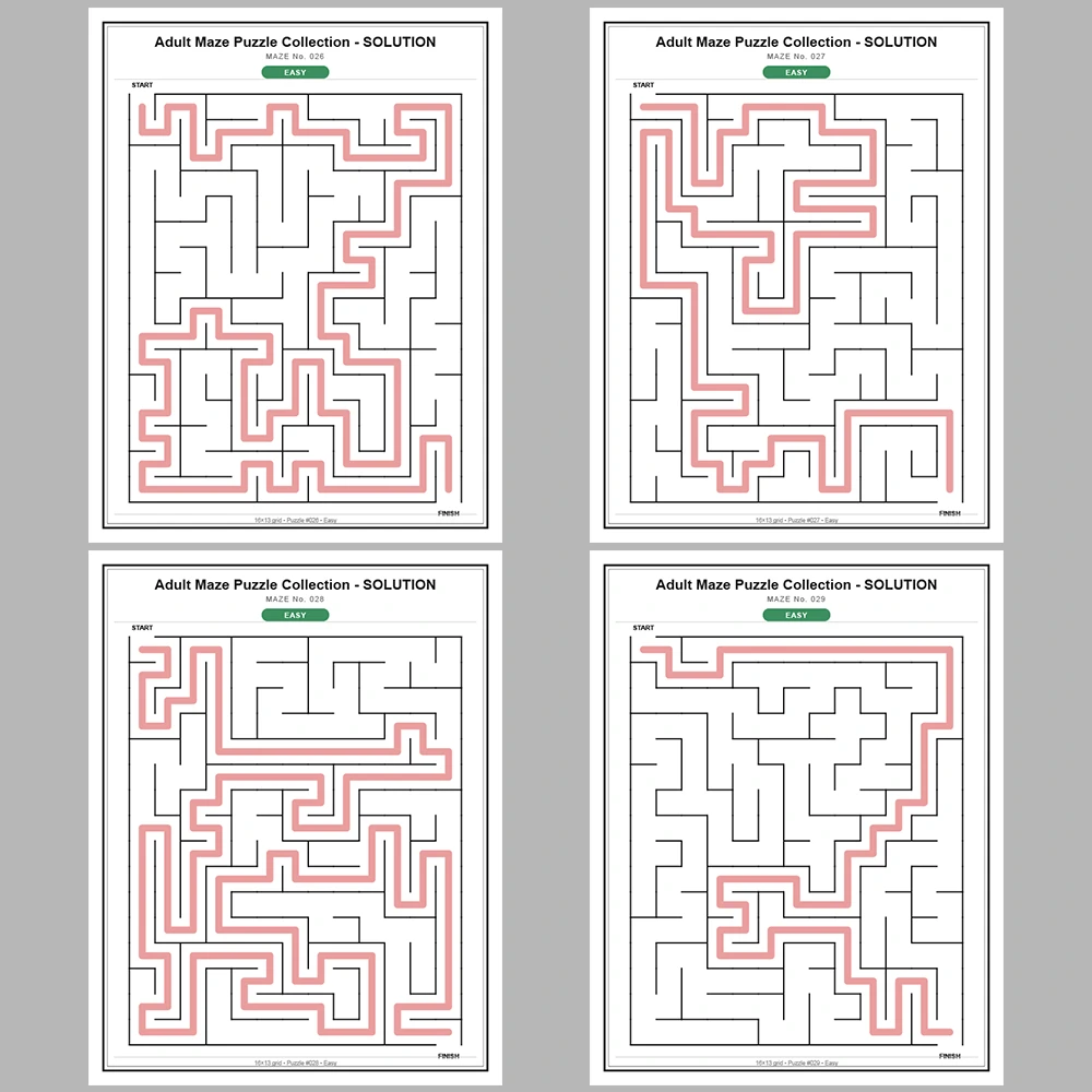 Maze Puzzle Easy 250 Pages of Puzzles – Vol. 1