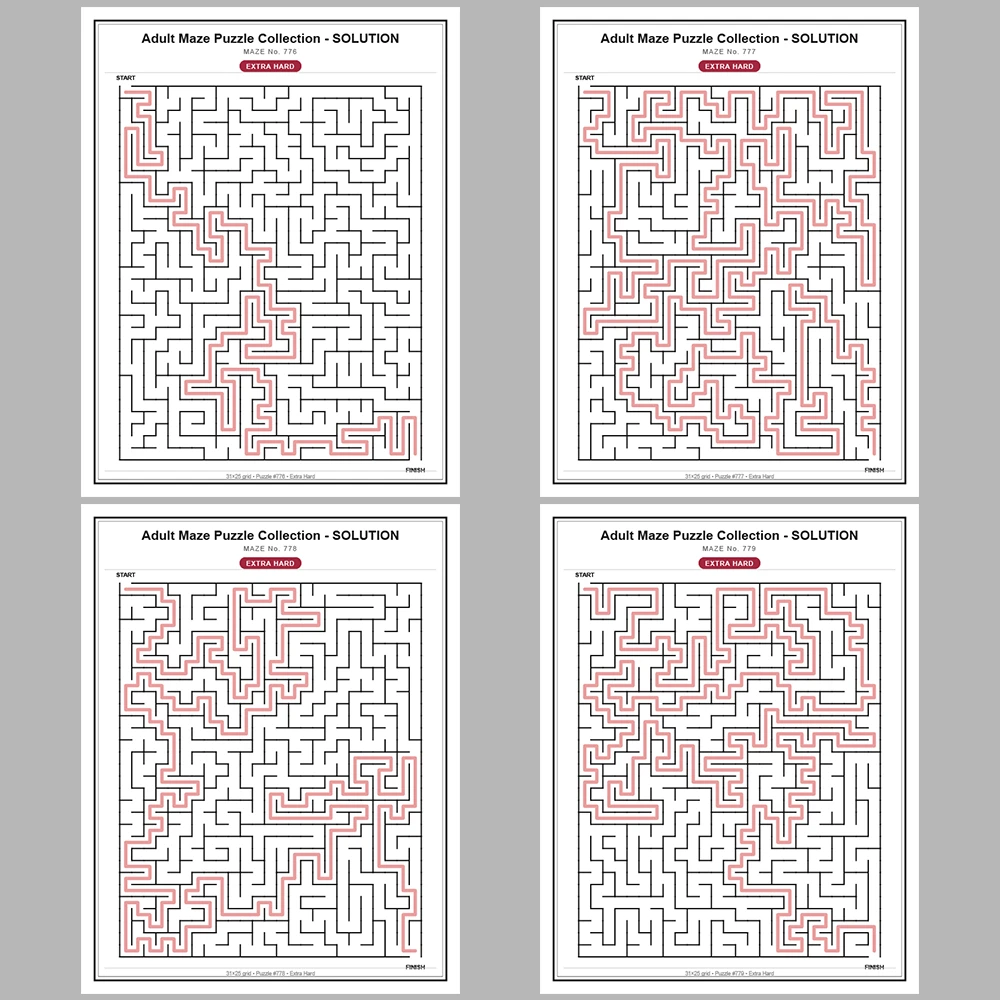 Maze Puzzle Extra Hard 250 Pages of Puzzles – Vol. 4