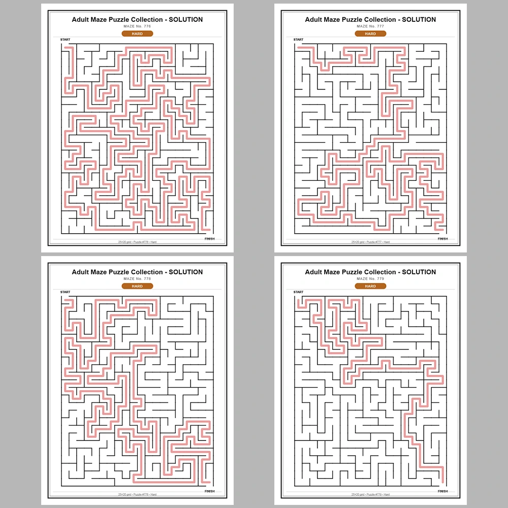 Maze Puzzle Hard 250 Pages of Puzzles – Vol. 4