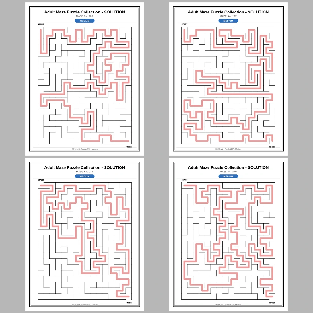 Maze Puzzle Medium 250 Pages of Puzzles – Vol. 2