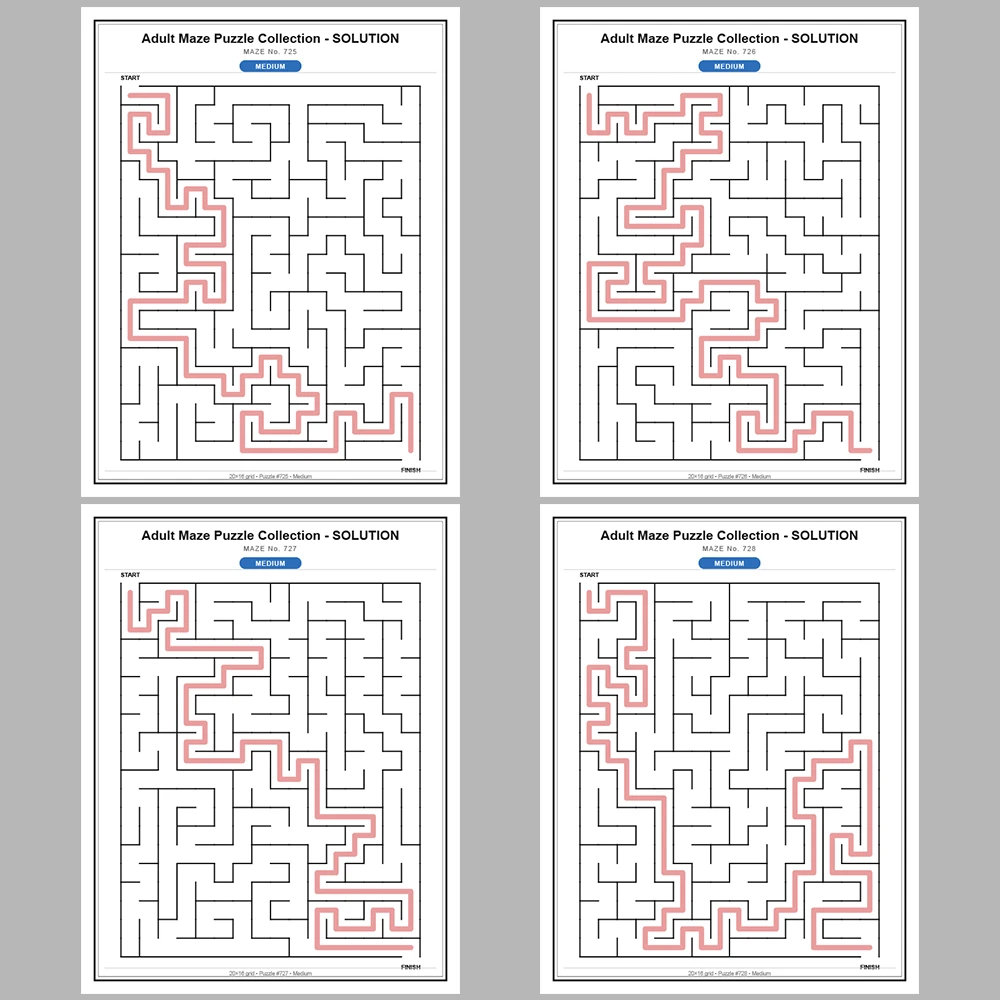 Maze Puzzle Medium 50 Pages of Puzzles – Vol. 15