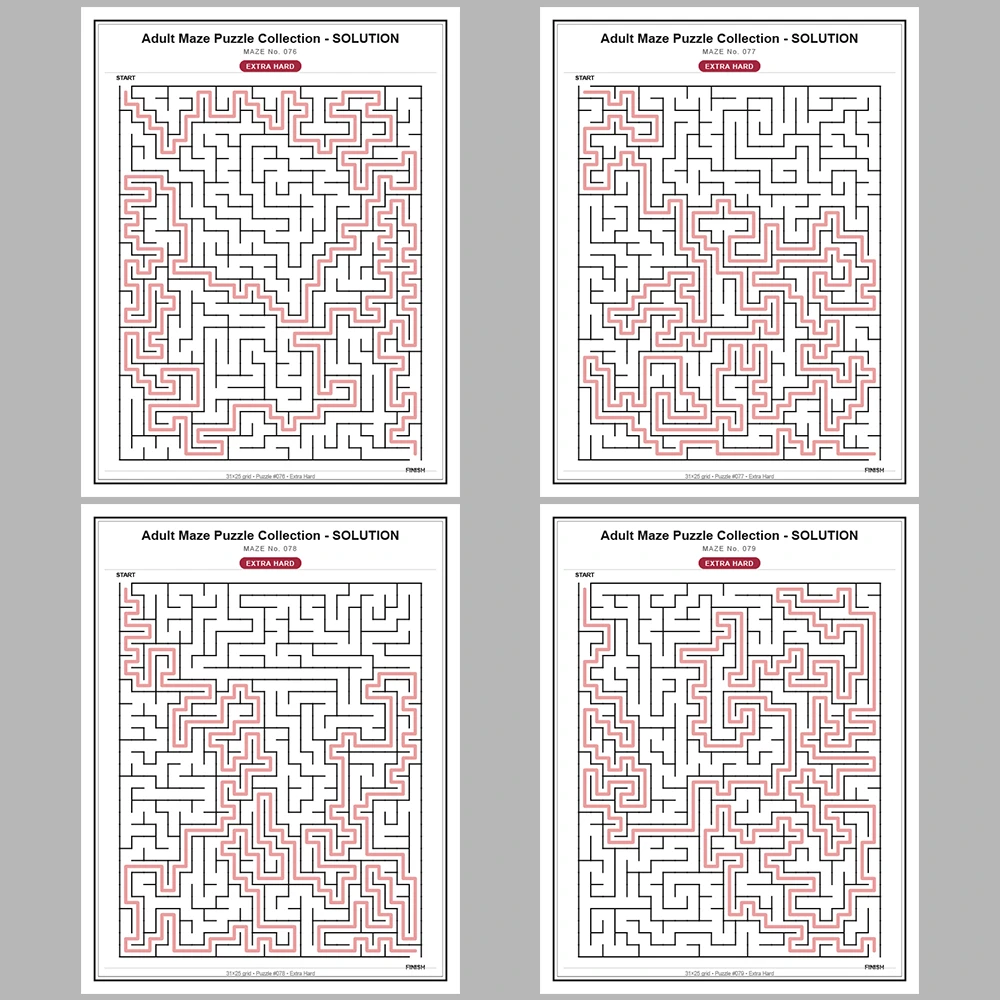 Maze Puzzle Extra Hard 50 Pages of Puzzles – Vol. 2
