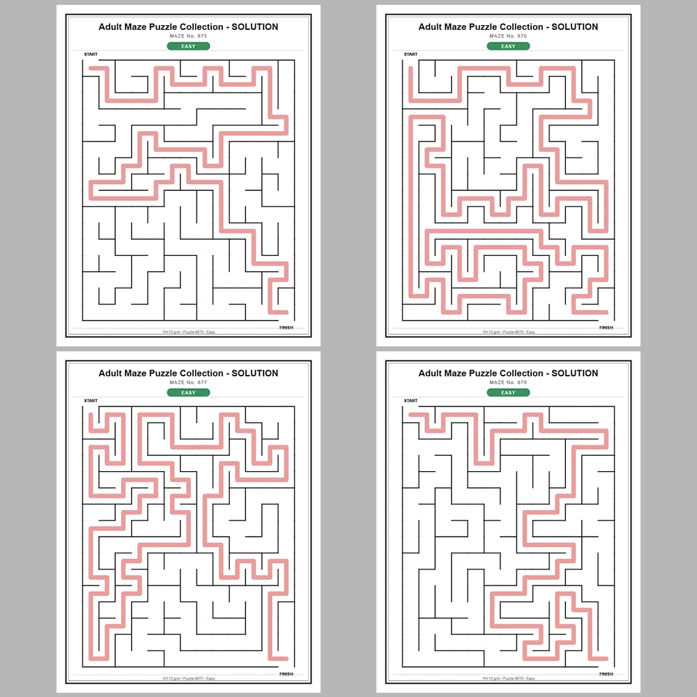 Maze Puzzle Easy 50 Pages of Puzzles – Vol. 18