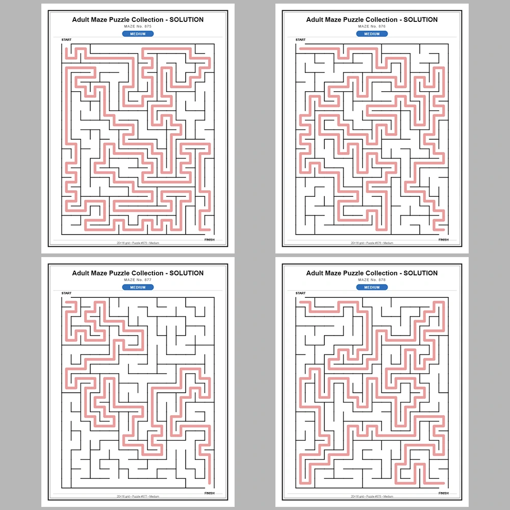 Maze Puzzle Medium 50 Pages of Puzzles – Vol. 18