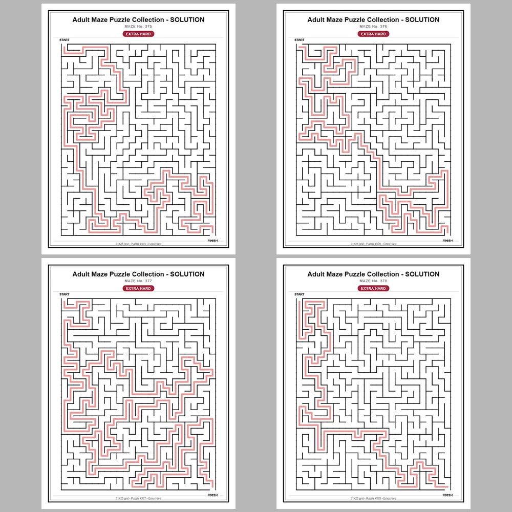 Maze Puzzle Extra Hard 50 Pages of Puzzles – Vol. 8