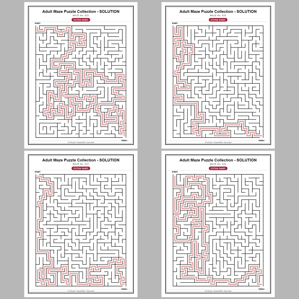 Maze Puzzle Extra Hard 50 Pages of Puzzles – Vol. 13