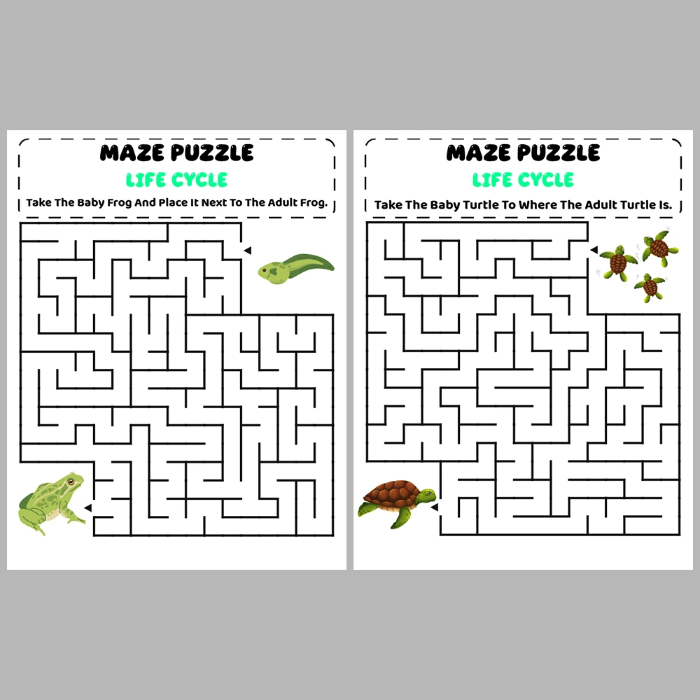 Life Cycle Kids Maze Puzzle 10 Pages of Puzzles
