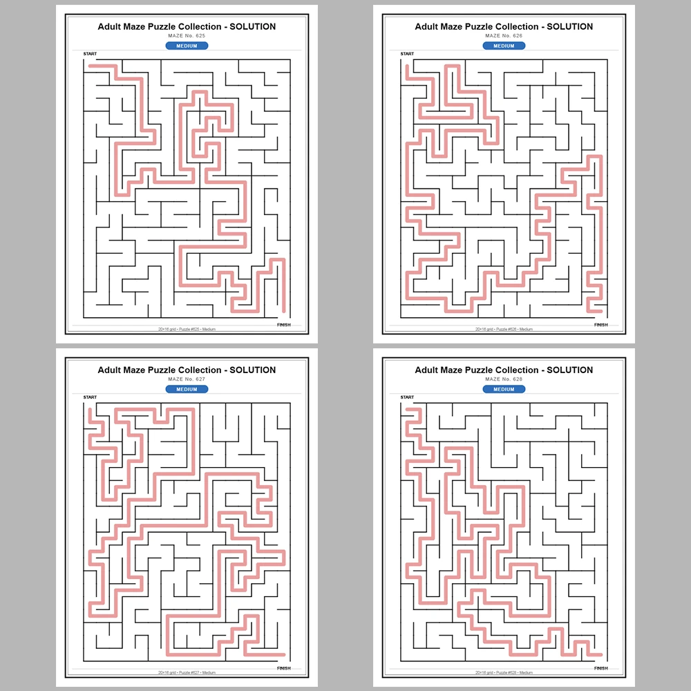 Maze Puzzle Medium 50 Pages of Puzzles – Vol. 13