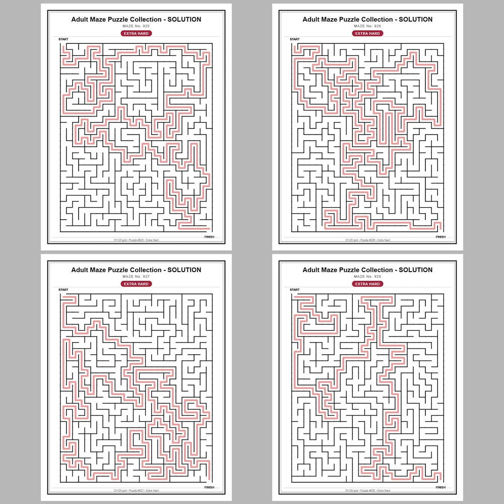 Maze Puzzle Extra Hard 50 Pages of Puzzles – Vol. 19