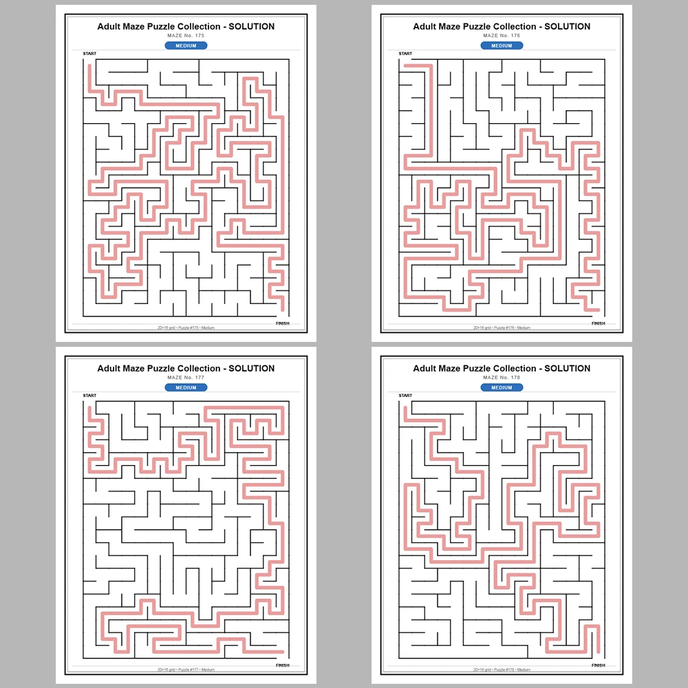Maze Puzzle Medium 50 Pages of Puzzles – Vol. 4
