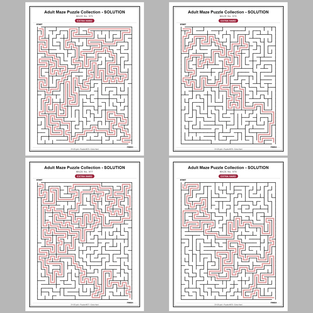 Maze Puzzle Extra Hard 50 Pages of Puzzles – Vol. 20
