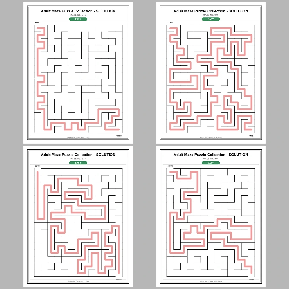 Maze Puzzle Easy 50 Pages of Puzzles – Vol. 20