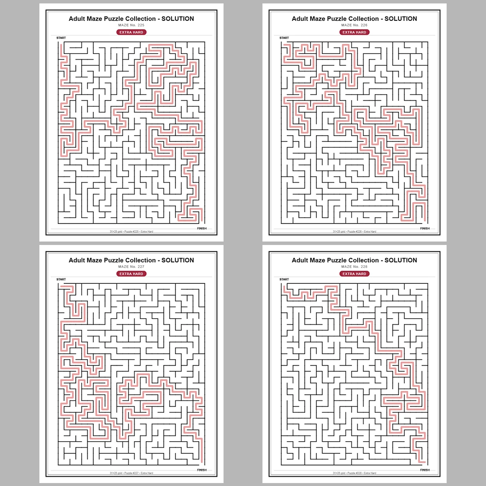 Maze Puzzle Extra Hard 50 Pages of Puzzles – Vol. 5