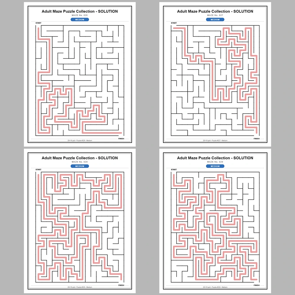 Maze Puzzle Medium 50 Pages of Puzzles – Vol. 1