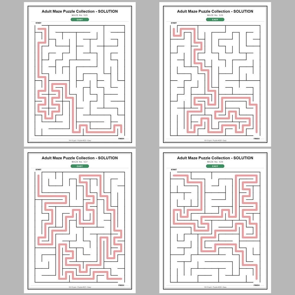 Maze Puzzle Easy 50 Pages of Puzzles – Vol. 11