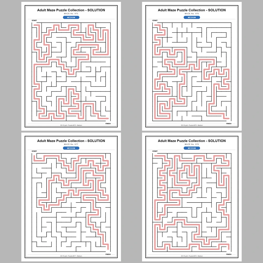 Maze Puzzle Medium 50 Pages of Puzzles – Vol. 20