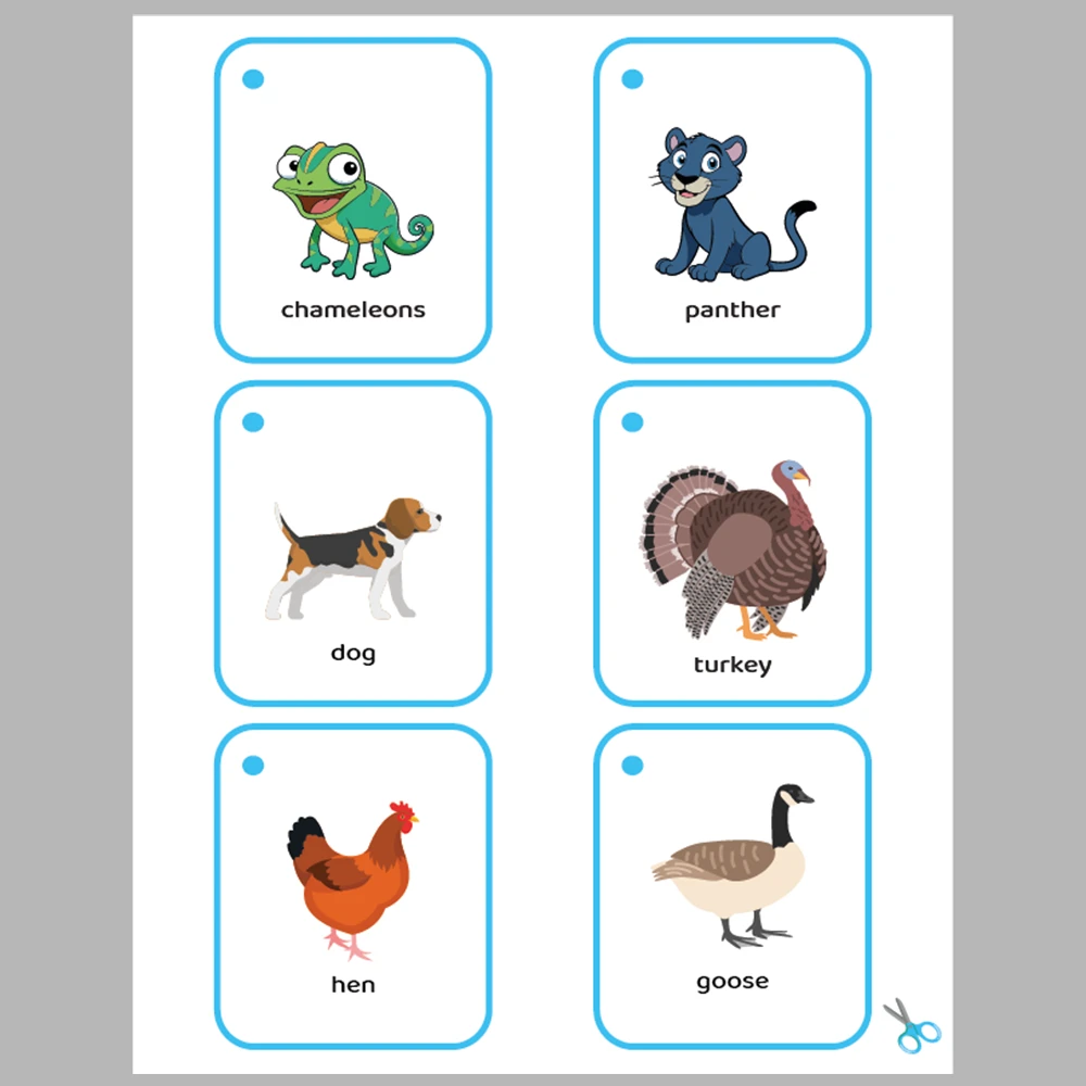 Animals 48 Flashcards