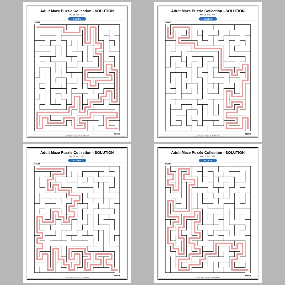 Maze Puzzle Medium 50 Pages of Puzzles – Vol. 8