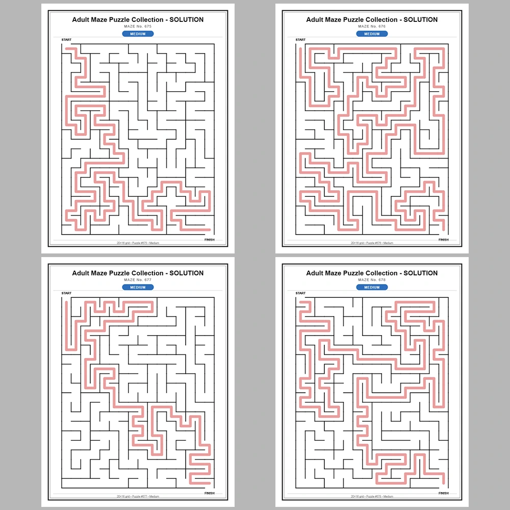 Maze Puzzle Medium 50 Pages of Puzzles – Vol. 14