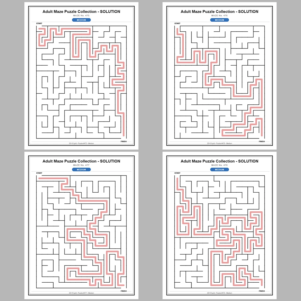 Maze Puzzle Medium 50 Pages of Puzzles – Vol. 10