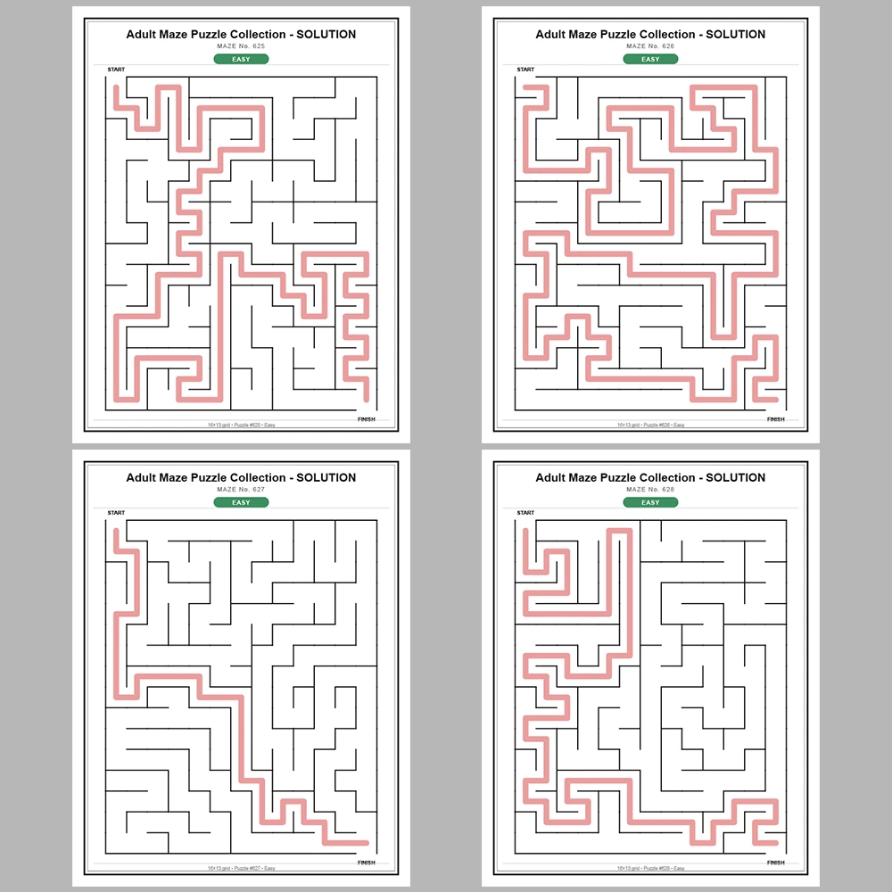 Maze Puzzle Easy 50 Pages of Puzzles – Vol. 13