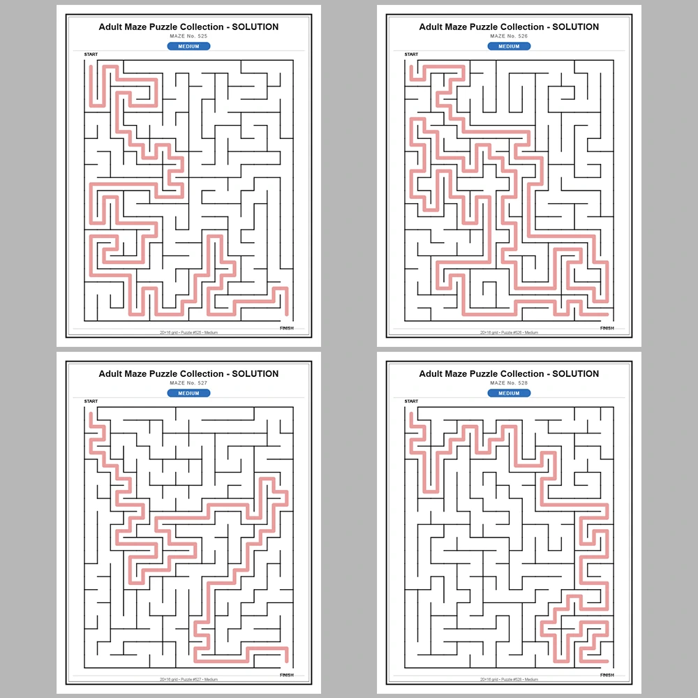 Maze Puzzle Medium 50 Pages of Puzzles – Vol. 11