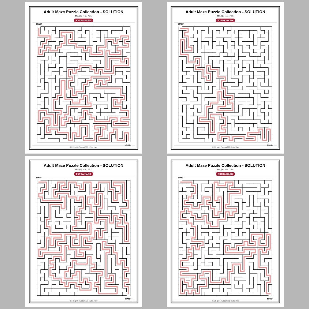 Maze Puzzle Extra Hard 50 Pages of Puzzles – Vol. 16
