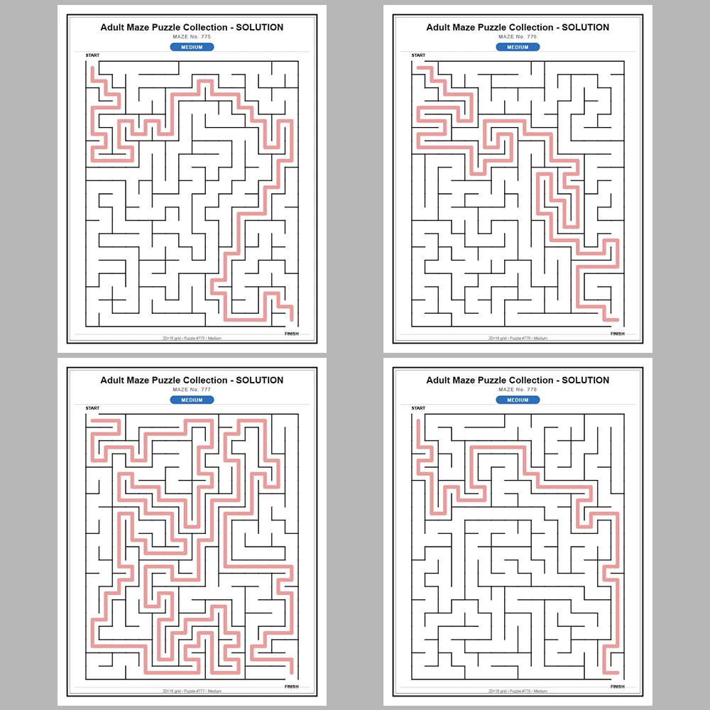 Maze Puzzle Medium 50 Pages of Puzzles – Vol. 16