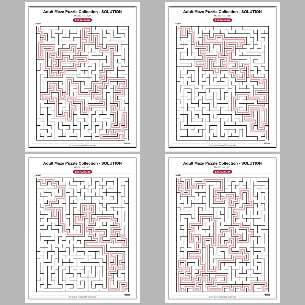Maze Puzzle Extra Hard 50 Pages of Puzzles – Vol. 17