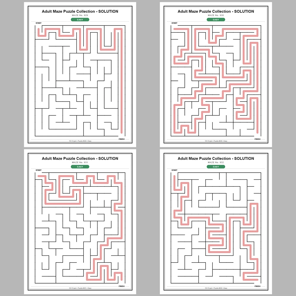 Maze Puzzle Easy 50 Pages of Puzzles – Vol. 19