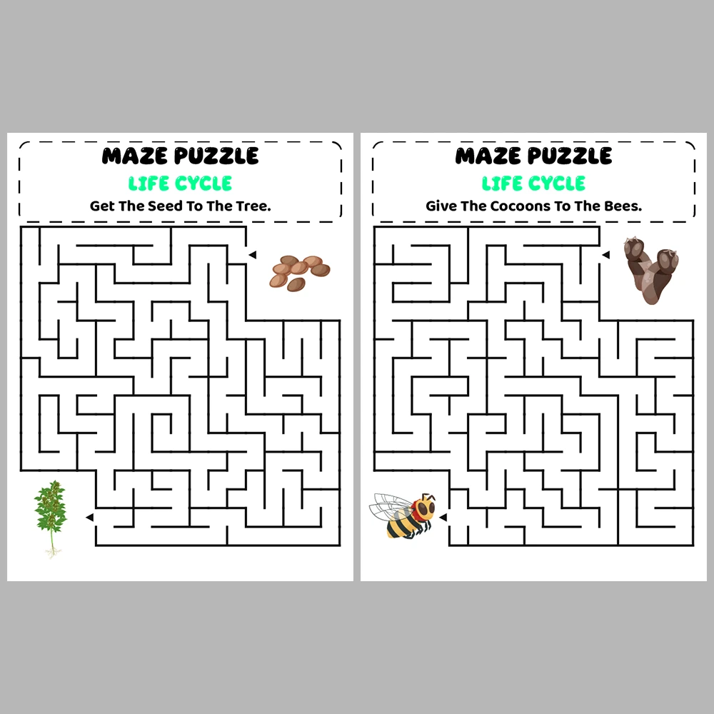 Life Cycle Kids Maze Puzzle 10 Pages of Puzzles