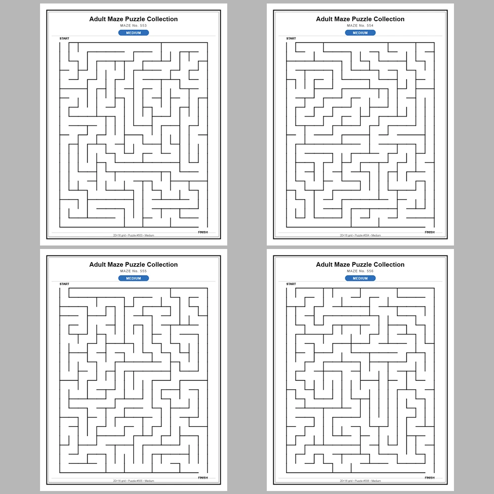 Maze Puzzle Medium 50 Pages of Puzzles – Vol. 12